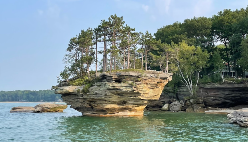A rocky island with trees atop, surrounded by calm water and lush greenery in the background.