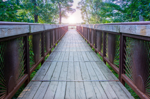 A wooden bridge surrounded by trees, leading towards a bright light in the distance.