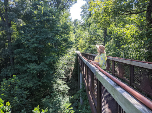 A person in a yellow shirt and hat sits on a wooden bridge surrounded by lush green trees.
