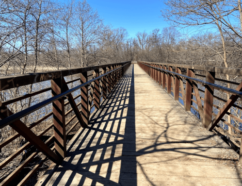 A wooden bridge stretches over a river, surrounded by bare trees and blue sky, casting long shadows on the path.