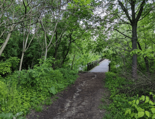 A dirt path leads through lush greenery to a wooden bridge surrounded by trees.