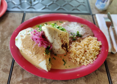 A plate of food featuring two large burritos topped with sauce, pink onions, cilantro, rice, and refried beans.