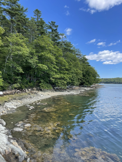 A serene lakeside view with lush green trees, rocky shore, and clear blue sky with scattered clouds.