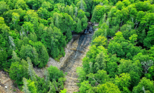 Aerial view of a lush green forest with a rocky cliff and a small waterfall visible among the trees.
