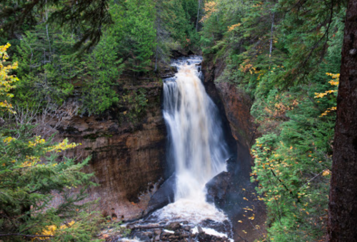 A cascading waterfall surrounded by lush green trees and autumn foliage in a serene forest setting.