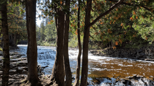 A serene river flows through a forest, framed by tall trees and colorful autumn leaves.