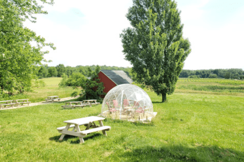 A clear dome structure on a grassy area near a red barn, surrounded by trees and picnic tables.