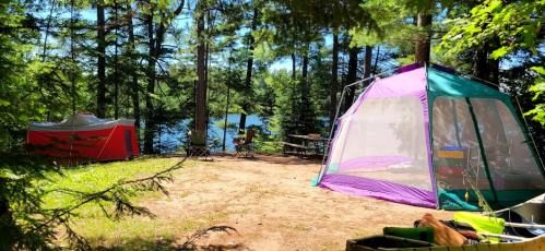 A campsite by a lake, featuring two tents surrounded by trees and picnic tables under a clear blue sky.
