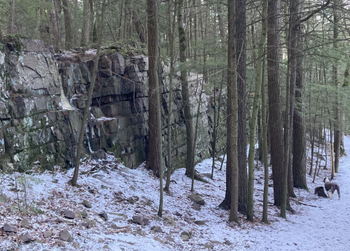 A snowy forest scene featuring a rocky cliff and tall trees, with a path leading through the woods.