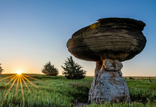 A large, mushroom-shaped rock formation at sunrise, surrounded by green grass and distant trees.