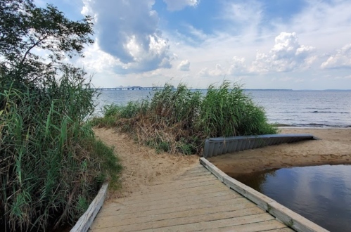 A wooden path leads to a sandy beach by a calm body of water, surrounded by tall grasses and a cloudy sky.