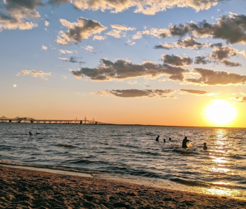 Silhouettes of people swimming at sunset, with a bridge in the background and colorful clouds in the sky.