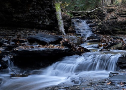 A serene waterfall cascades over dark rocks, surrounded by autumn foliage and a tranquil forest setting.