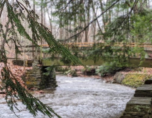 A serene stream flows under a wooden bridge, framed by green leaves and surrounded by a tranquil forest.