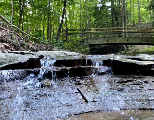 A serene stream flows over rocks, with a wooden bridge in the background surrounded by lush green trees.