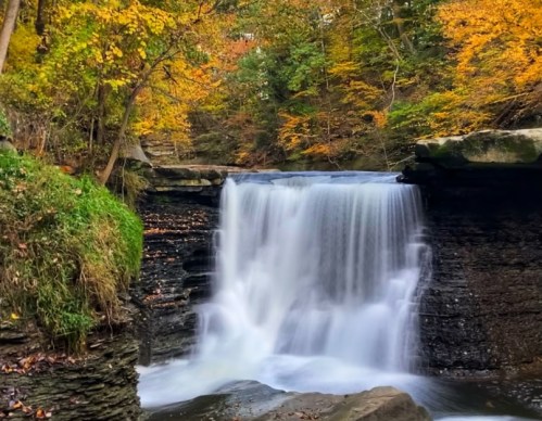 A serene waterfall cascades over rocks, surrounded by vibrant autumn foliage in a tranquil forest setting.