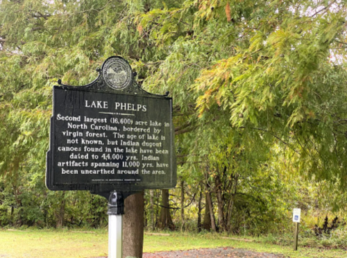 Sign for Lake Phelps, detailing its size, history, and archaeological significance, surrounded by trees.