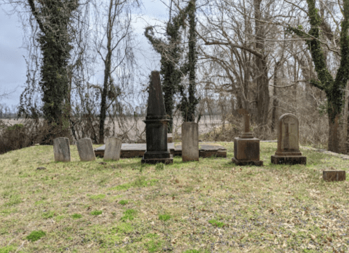 A row of weathered gravestones in a grassy area, surrounded by bare trees and a cloudy sky.