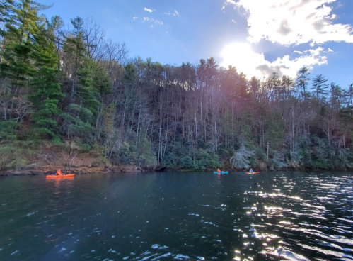 Two kayakers paddle on a calm lake, surrounded by trees and a bright sky with scattered clouds.