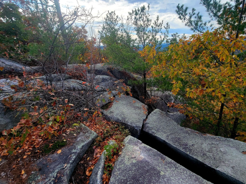 Rocky landscape with large boulders, scattered autumn leaves, and trees with colorful foliage under a cloudy sky.
