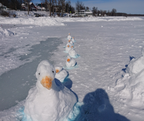 A row of snow ducks with orange beaks on a frozen lake, surrounded by snow-covered land and trees in the background.