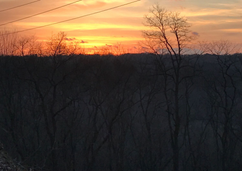 A sunset casts warm colors over a silhouette of bare trees against a darkening landscape.