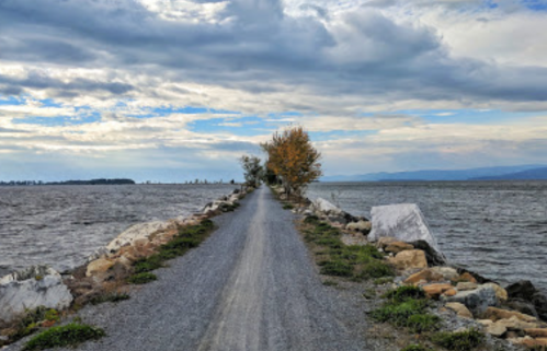 A gravel path leads through water, flanked by rocks and trees, under a cloudy sky.