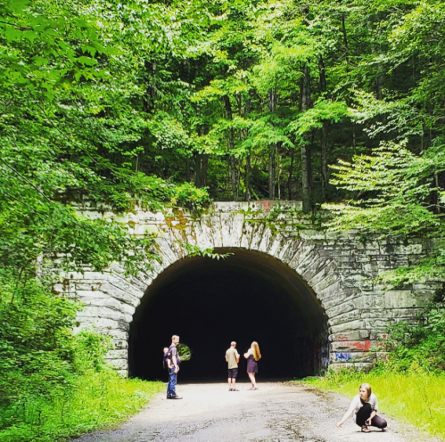 A group of children play near a dark tunnel surrounded by lush green trees. One child sits on the ground.
