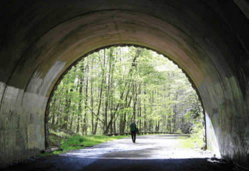 A person walks through a large tunnel, surrounded by lush green trees and sunlight filtering in.