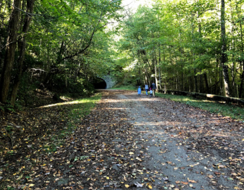 A dirt path lined with trees leads to a dark tunnel, with three people walking in the distance. Leaves cover the ground.