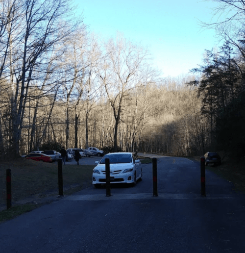 A white car parked near a forested area with a few other cars visible in the background and a clear blue sky.