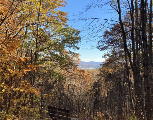 A scenic view of autumn trees with colorful leaves, overlooking a valley and distant mountains under a clear blue sky.
