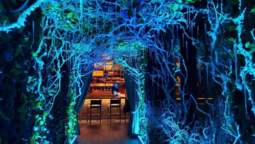 A vibrant, illuminated pathway with blue lights and foliage leading to a bar in a cozy, atmospheric setting.