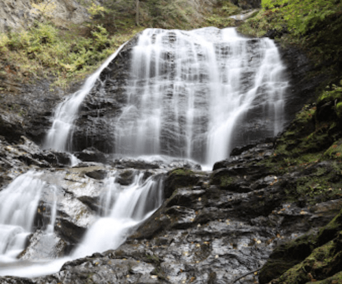 A serene waterfall cascading over dark rocks, surrounded by lush green foliage.