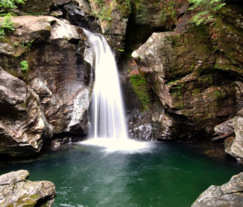 A serene waterfall cascades over rocks into a tranquil green pool surrounded by lush greenery.