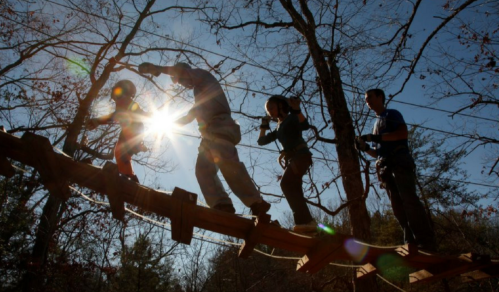 A group of four people navigating a wooden bridge in a forest, with sunlight shining through the trees.