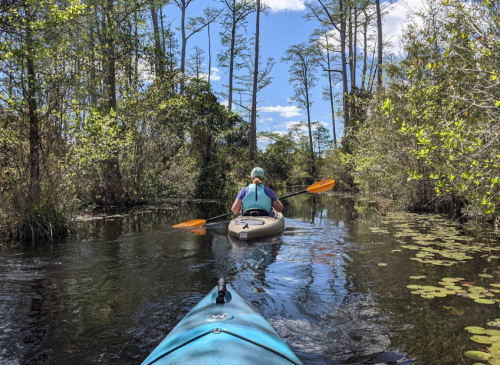 A person kayaking on a calm waterway surrounded by lush greenery and trees under a blue sky.