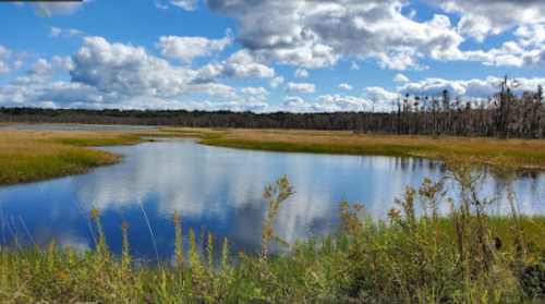 A serene landscape featuring a calm river reflecting clouds, surrounded by grassy fields and distant trees.