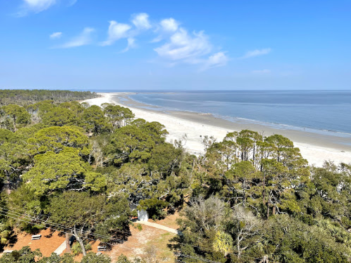 A serene beach view with sandy shores, gentle waves, and lush green trees under a clear blue sky.