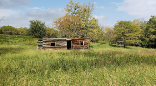 A rustic wooden cabin surrounded by tall grass and trees under a partly cloudy sky.