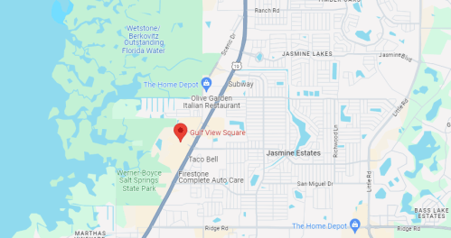 Map showing Gulf View Square location near Jasmine Lakes, with nearby landmarks like Olive Garden and Taco Bell.