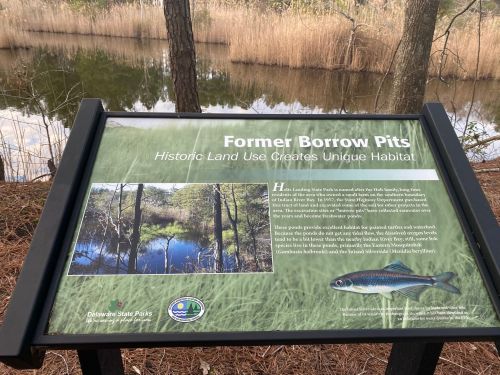 Sign about former borrow pits, highlighting their role in creating unique habitats near a reflective pond and surrounding vegetation.