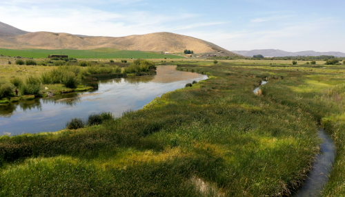 A serene landscape featuring a winding river surrounded by lush greenery and rolling hills under a clear blue sky.