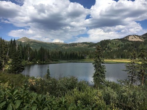 A serene lake surrounded by lush greenery and mountains under a partly cloudy sky.