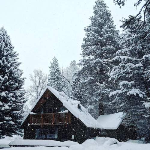 A cozy cabin surrounded by tall snow-covered trees, with snow gently falling in a serene winter landscape.
