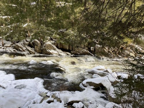 A snowy river flows through a forest, with rocks visible along the banks and trees in the background.