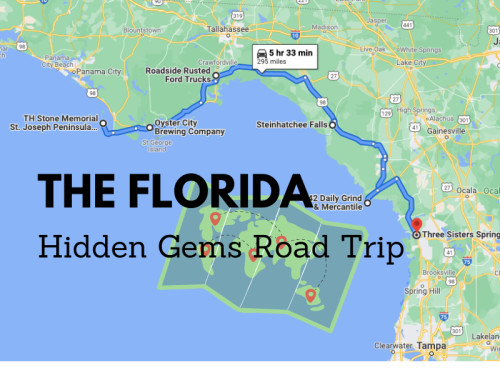 Map of a Florida road trip highlighting hidden gems, including Three Sisters Spring and Steinhatchee Falls.