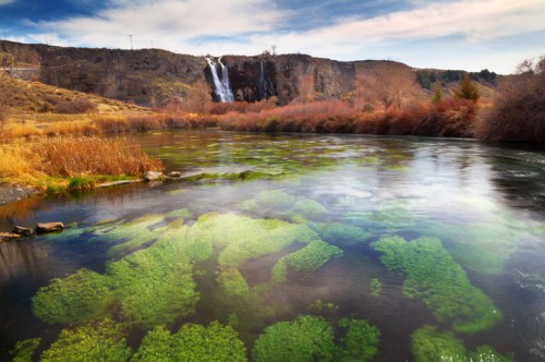 A serene river scene with green aquatic plants, a waterfall in the background, and autumn foliage along the banks.