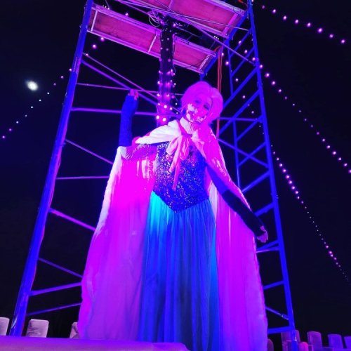 A performer dressed as Elsa from Frozen, illuminated in purple light, stands on a stage with a moon in the background.