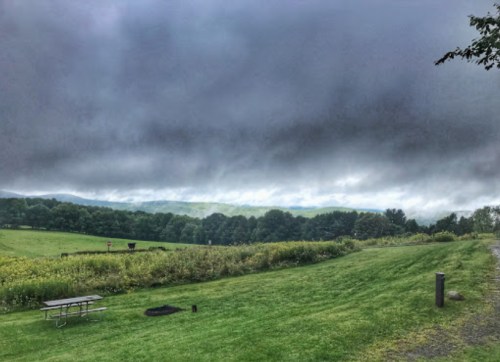 A grassy field under a cloudy sky, with trees and a picnic table in the foreground.